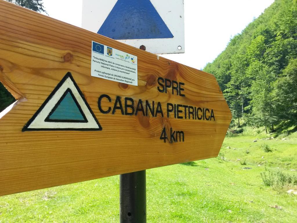 Cabana Pietricica Dîmbovicioara Exterior foto