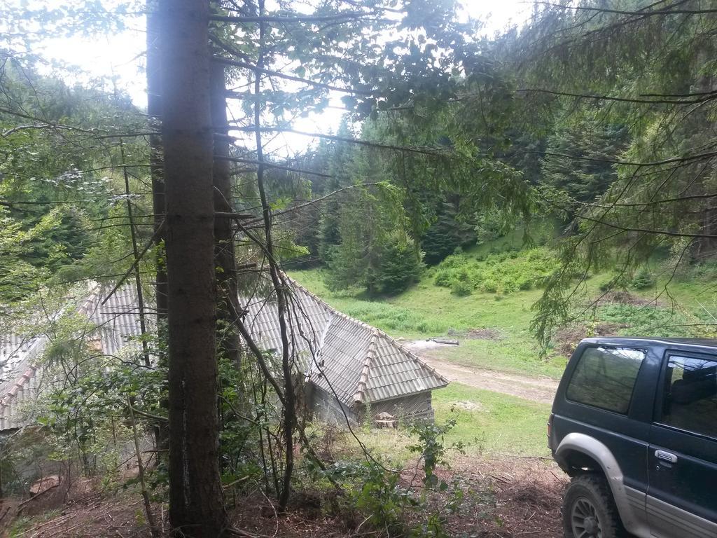 Cabana Pietricica Dîmbovicioara Exterior foto