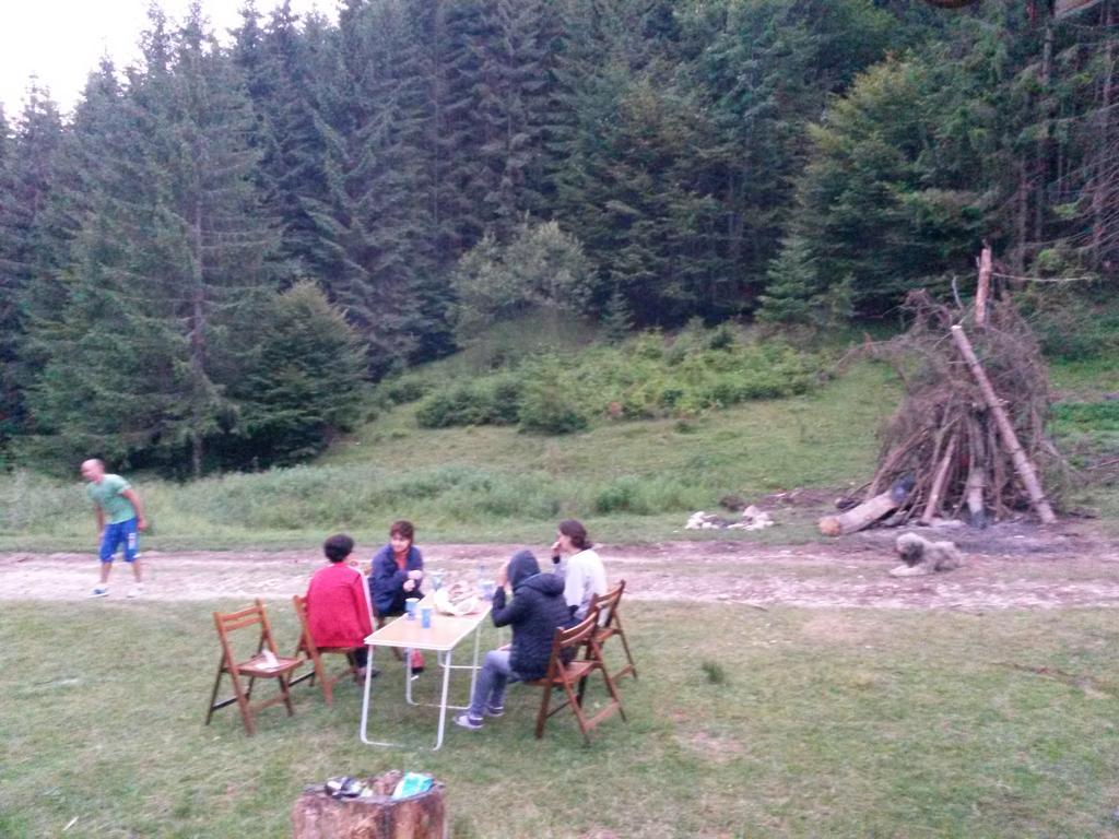 Cabana Pietricica Dîmbovicioara Exterior foto