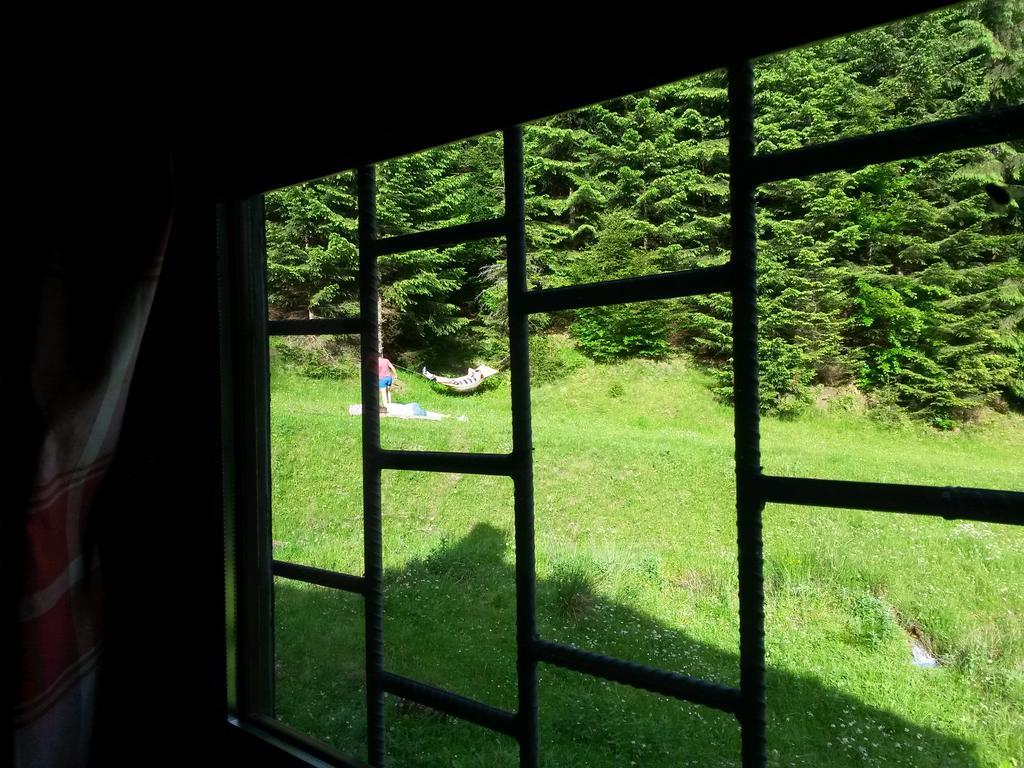 Cabana Pietricica Dîmbovicioara Exterior foto