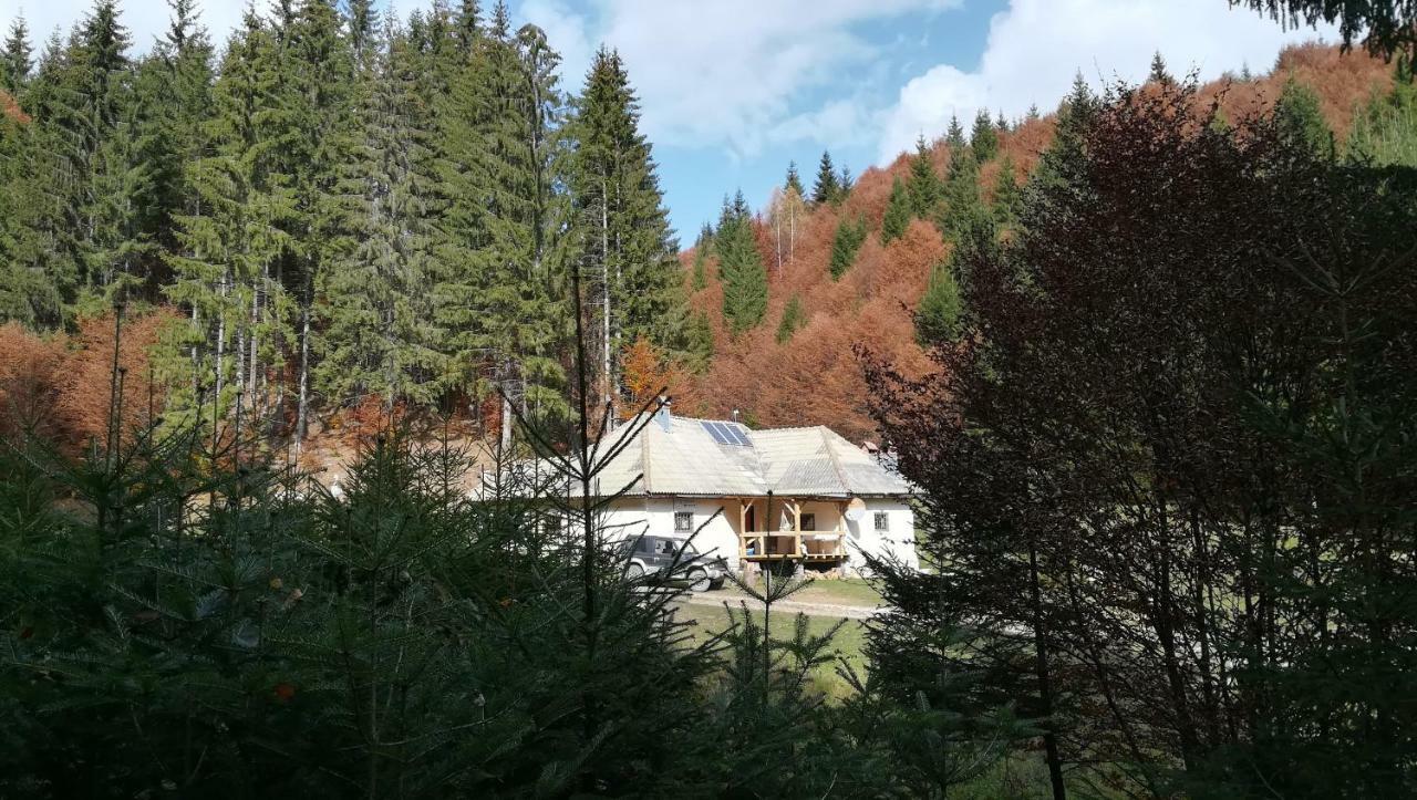 Cabana Pietricica Dîmbovicioara Exterior foto