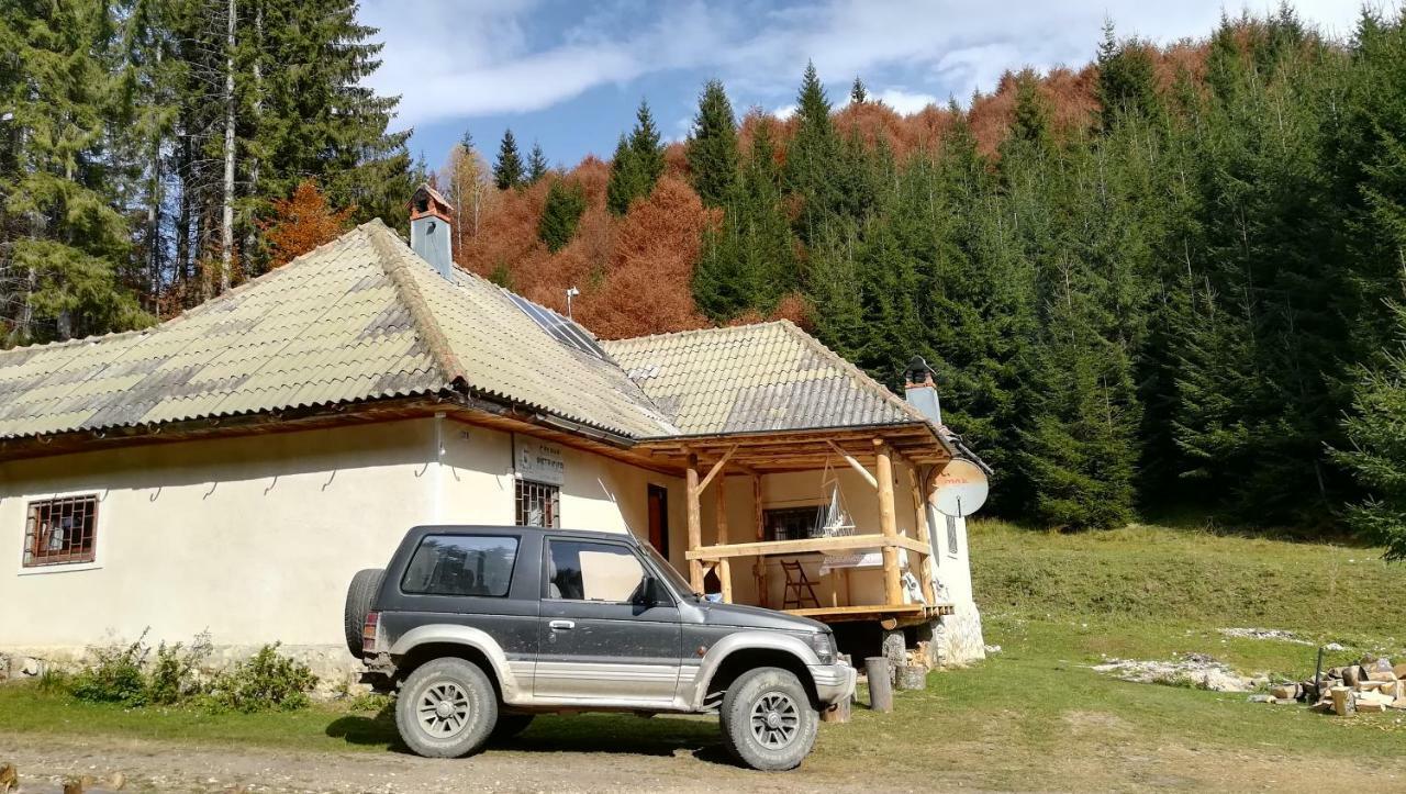 Cabana Pietricica Dîmbovicioara Exterior foto