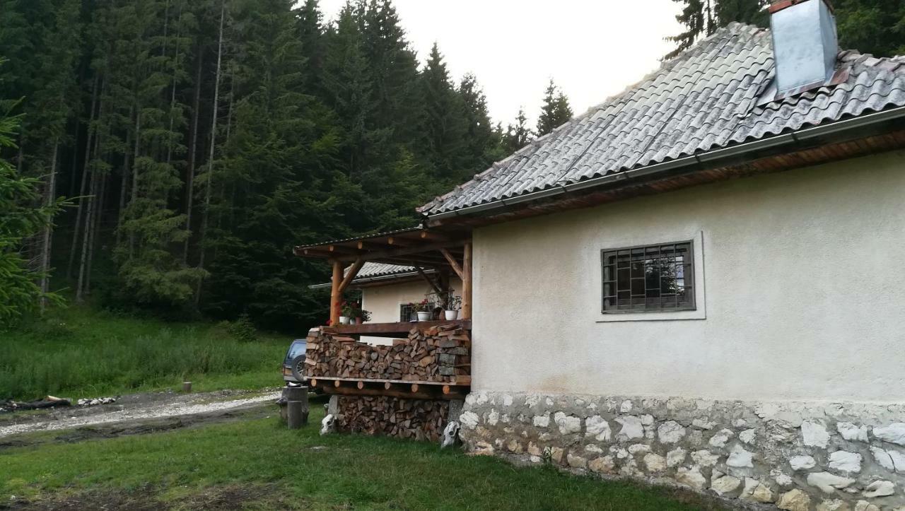 Cabana Pietricica Dîmbovicioara Exterior foto