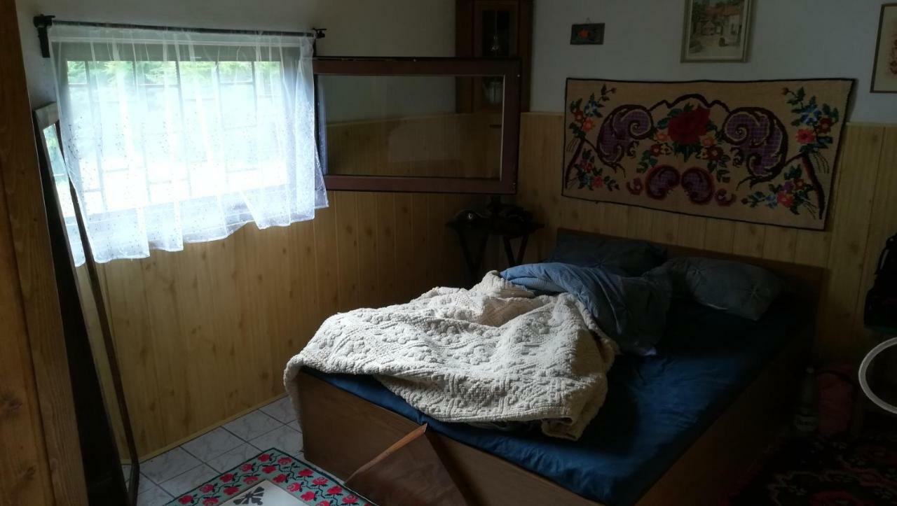 Cabana Pietricica Dîmbovicioara Exterior foto