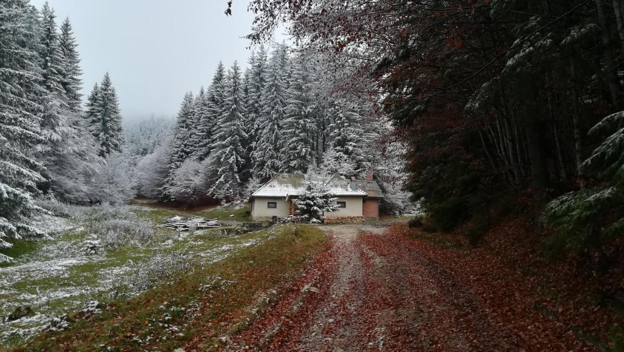 Cabana Pietricica Dîmbovicioara Exterior foto